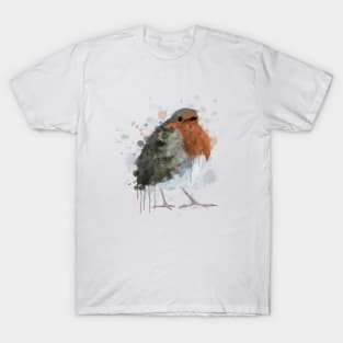 Robin Redbreast T-Shirt